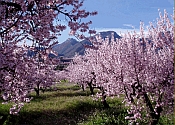 Jalon Valley